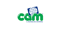 Cam
